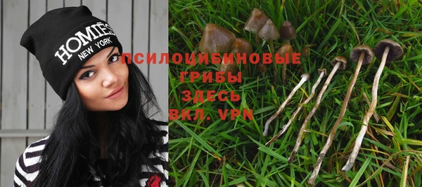 прущие грибы Алексин