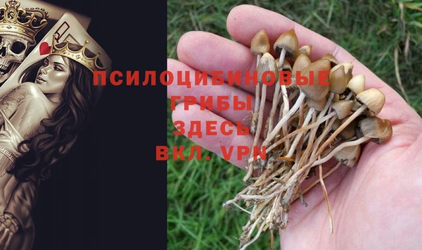мет Нягань