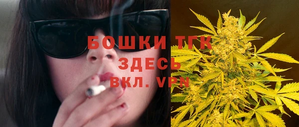 прущие грибы Алексин