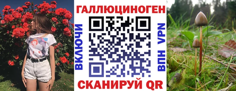 блэк спрут ССЫЛКА  Цоци-Юрт  Псилоцибиновые грибы Psilocybe 