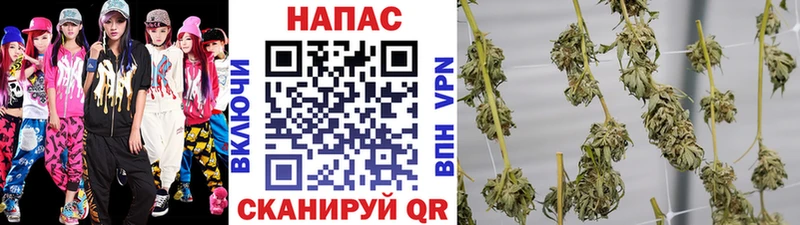 Каннабис Ganja  где найти   Цоци-Юрт 
